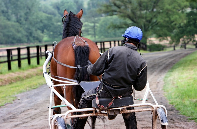 Jockey en sulky qui entraine son cheval