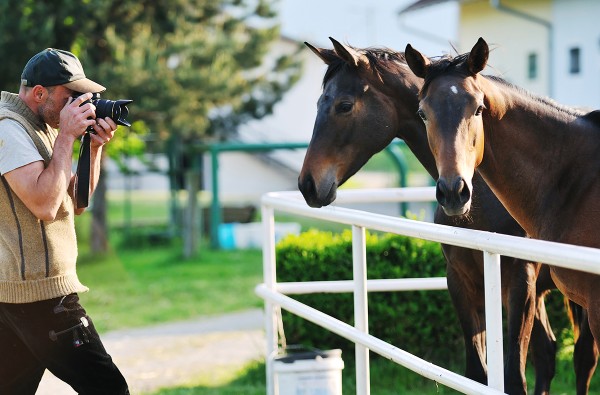 Eleveur qui prend en photo un cheval