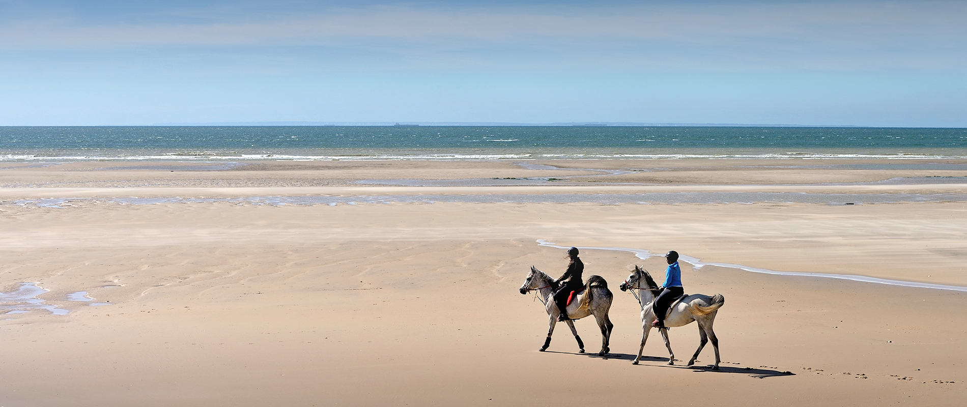 Chevaux sur la plage