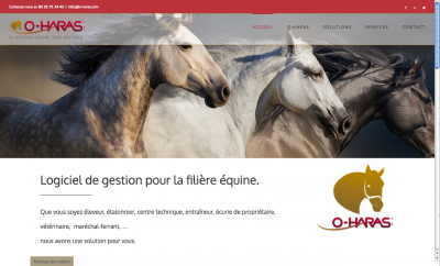 site O-Haras.com