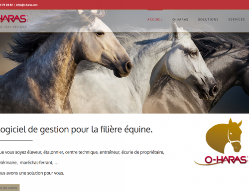 Lancement du nouveau site www.o-haras.com